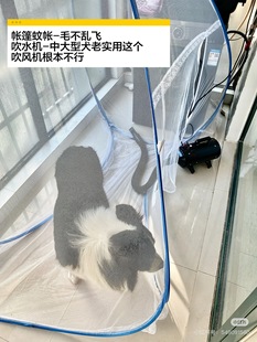 狗狗蚊帐洗澡防毛乱飞免安装自动打开蒙古包吹狗毛帐篷蚊帐宠物用