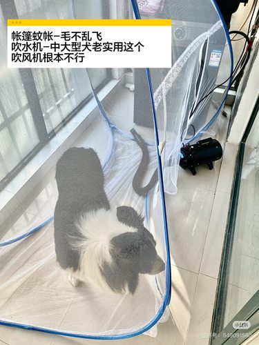 狗狗蚊帐洗澡防毛乱飞免安装自动打开蒙古包吹狗毛帐篷蚊帐宠物用