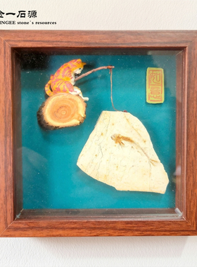 古生物狼鳍鱼化石标本摆台装饰画