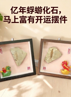 马上富有昆虫化石原石标本玄关书房办公桌工位摆件吉祥马装饰礼品