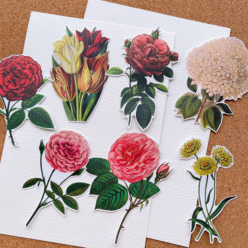 复古玫瑰花手帐素材手绘植物花卉花朵欧美风拼贴装饰打底素材贴纸