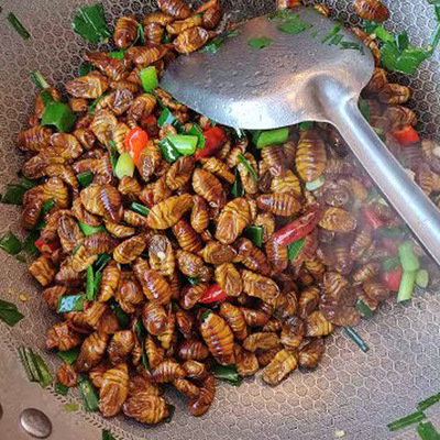 新鲜冷冻桑蚕蛹山东农家特产生茧蛹新鲜蝉蛹小蚕蛹非即食下酒小菜