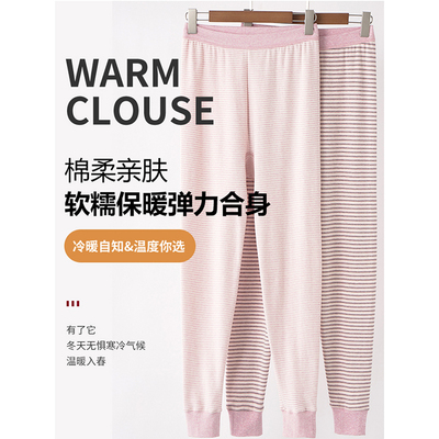 森鹅纯棉条纹女士秋裤衬裤中老年