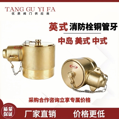 英式船用消防栓管牙闷盖美式德式中岛式町野罗夫式接扣DN40.50.65