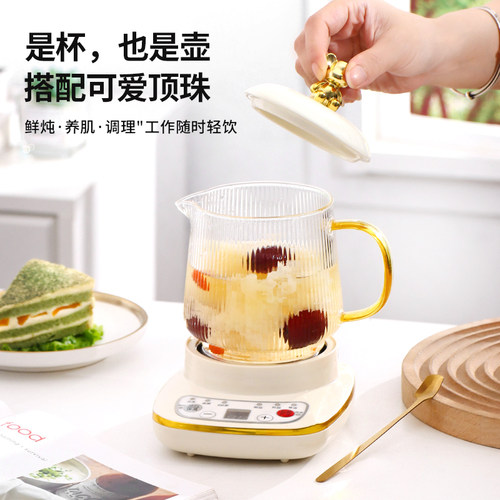 小型多功能办公室养生壶家用保温煮茶器加厚玻璃烧水煮茶壶