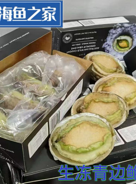 1kg 共5只 鲜活生冻青边鲍鱼 绿边鲍鱼  高档日料海鲜水产