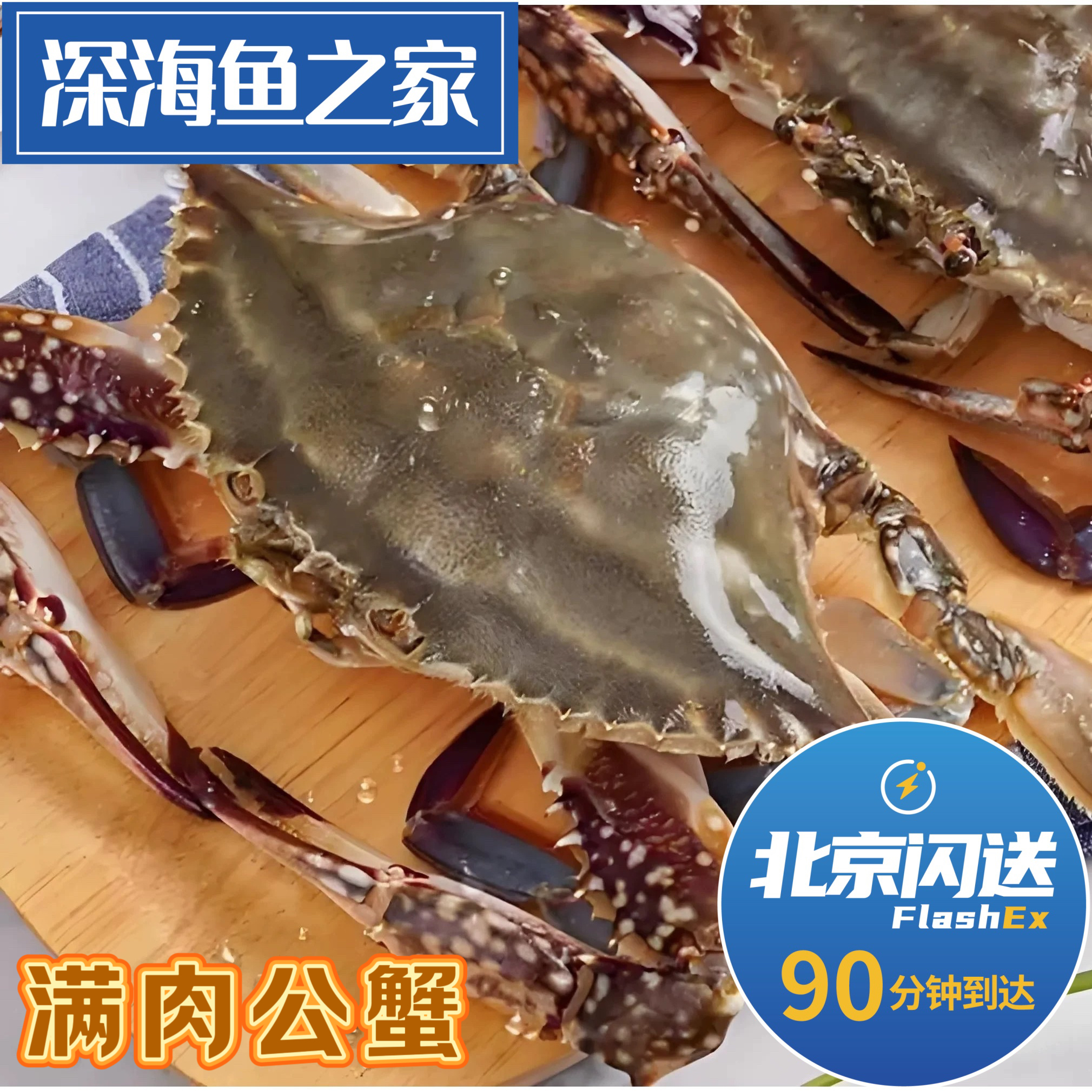 北京闪送 5-8两一只公梭子蟹 活鲜满肉螃蟹 海蟹海鲜飞蟹壳薄满肉