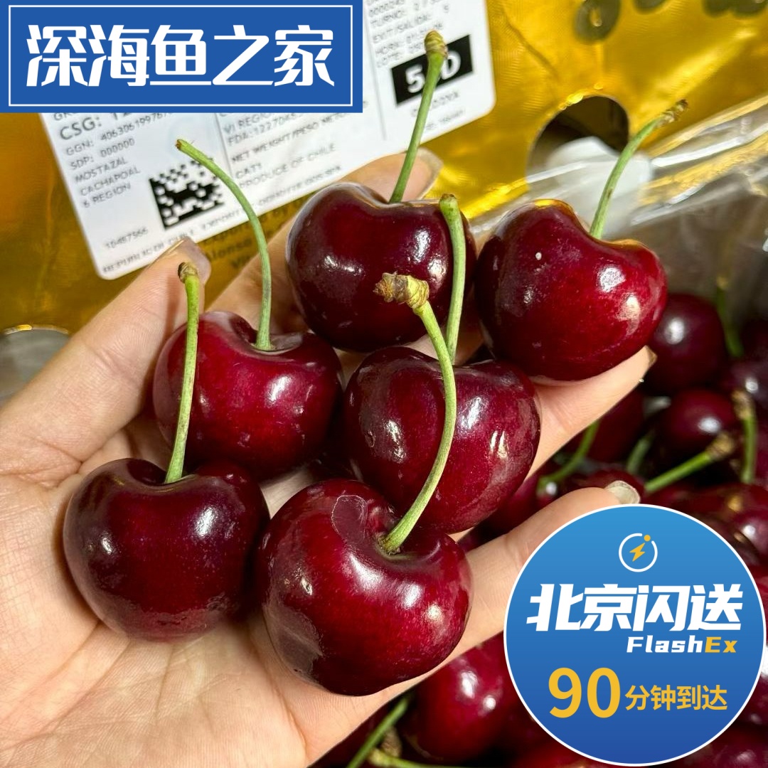 北京闪送 艺术家8F车厘子 桑提娜santina果子