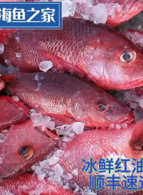 冰鲜紫红笛雕 红友鱼 红油鱼 3-9斤/条 肉质紧实鲜甜回甘