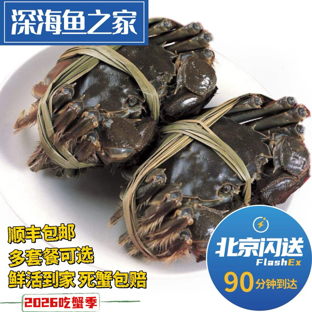 北京闪送4-10只大闸蟹鲜活螃蟹湖蟹河蟹活蟹公母任选礼盒顺丰包邮