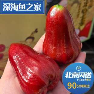 北京闪送 唐潮雾语高糖莲雾 2.5斤水果礼盒