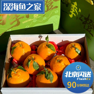 北京闪送 四季江橙春见耙耙柑 约6斤水果礼盒