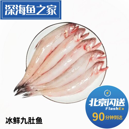北京闪送 500g冰鲜九肚鱼 豆腐鱼 新鲜龙头鱼海鲜水产