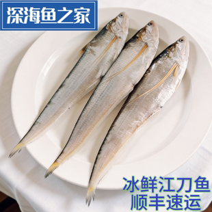 2-3两/条 冰鲜江刀鱼  高端江鲜代表 高端宴请家宴硬菜