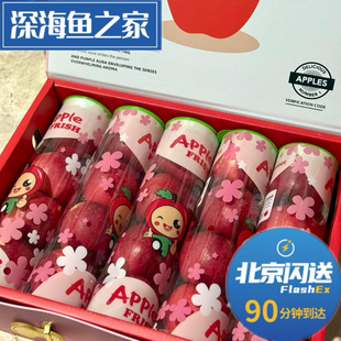 北京闪送 瑞香筒装红苹果 5桶装水果礼盒