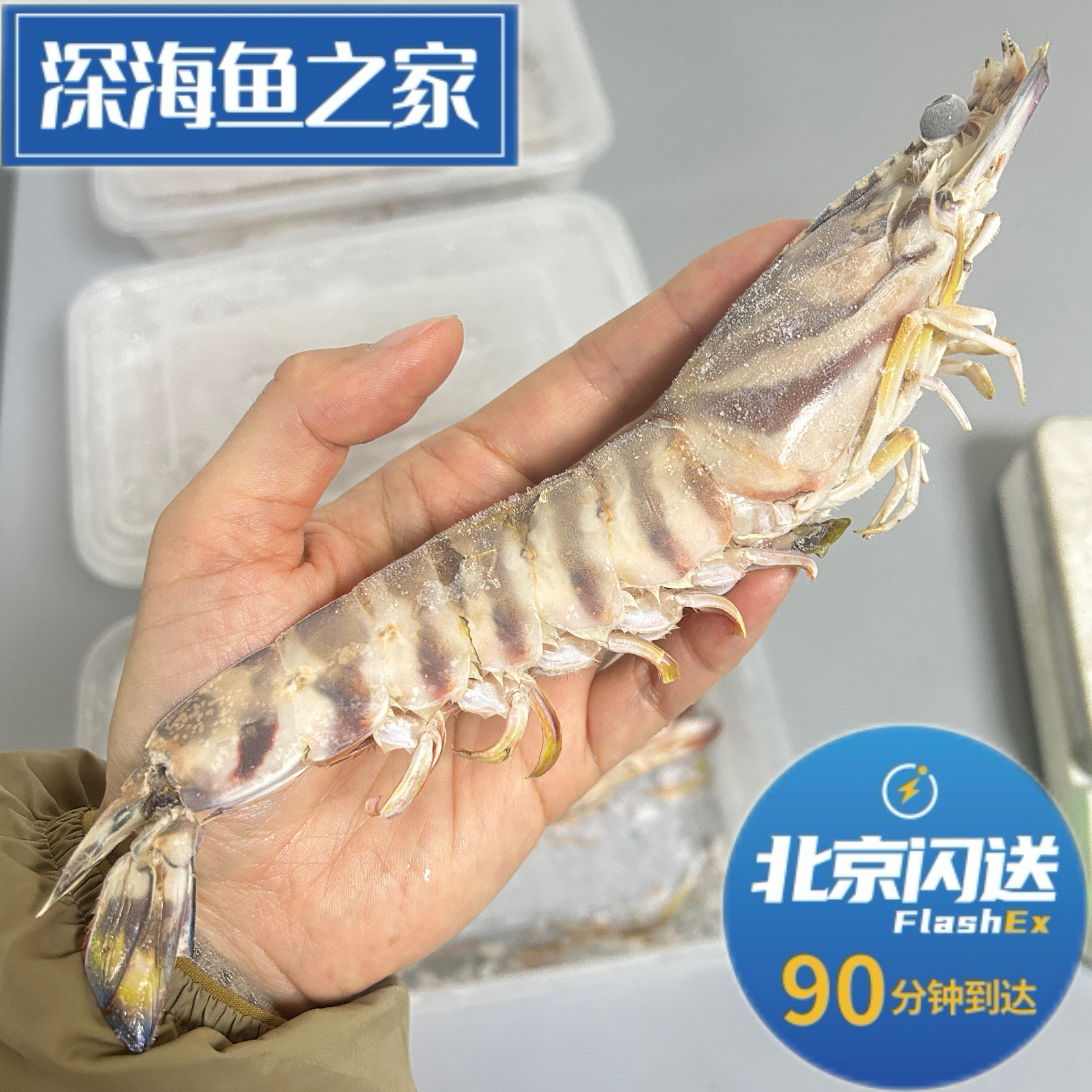 北京闪送 鲜冻大花虾斑节虾基围虾 烧烤油闷大虾5只一份约370g