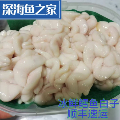 冰鲜鳕鱼白子 鳕鱼精巢 日料火锅食材 现杀现取 新鲜发货