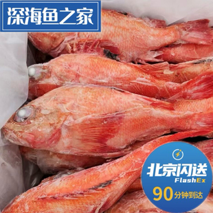 北京闪送  1.3-1.5斤/条冷冻金吉鱼 喜之次 炉端烧日料食材