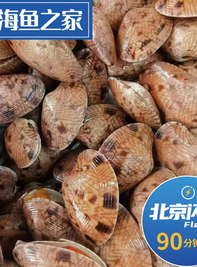 500g 北京闪送 鲜活 芒果贝 海鲜 海南特产 贝壳 水产 野生鲜甜