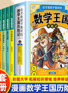 全六册 这才是孩子喜欢的数学王国历险记 龙兄勇闯古墓 小虫虫大智慧 下下城里的秘密 魔镜与钥匙地下河道里的怪邻居荣耀石的重生