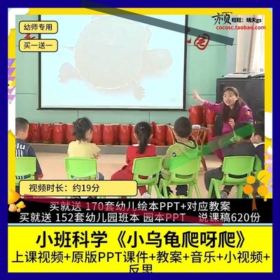 幼儿园优质公开课小班科学活动《小乌龟爬呀爬》视频PPT课件教案3