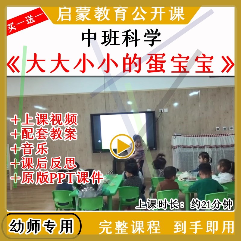 幼儿园优质公开课小班科学活动大大小小的蛋宝宝视频教案课件PPT