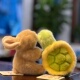 正版 非常宝贝超可爱小乌龟毛绒玩具冰箱贴超萌兔子西高地公仔玩偶