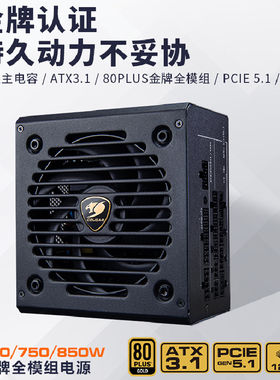 骨伽GR650W/750W/850W/1000W金牌全模组电源 ATX3.1宽幅静音电源