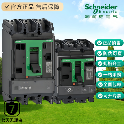 NSX100N160N250N400N630N3P