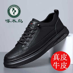 2025秋季 真皮软底百搭增高休闲鞋 新款 男士 潮流运动板鞋 啄木鸟男鞋