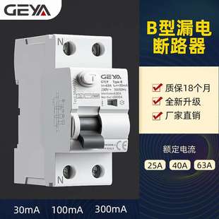 40A 63A 30mA 300mA GEYA格亚GYL9 100mA B型漏电保护器2P