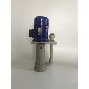 厂家直销镀宝牌耐酸耐碱抽液泵 可空转立式泵 液下加长污水处理泵