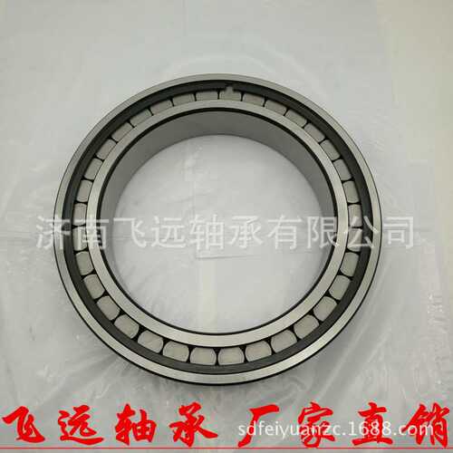 百工满滚子轴承SL045019PP SL04 5019 NNF5019ADA-2LS挖掘机轴承