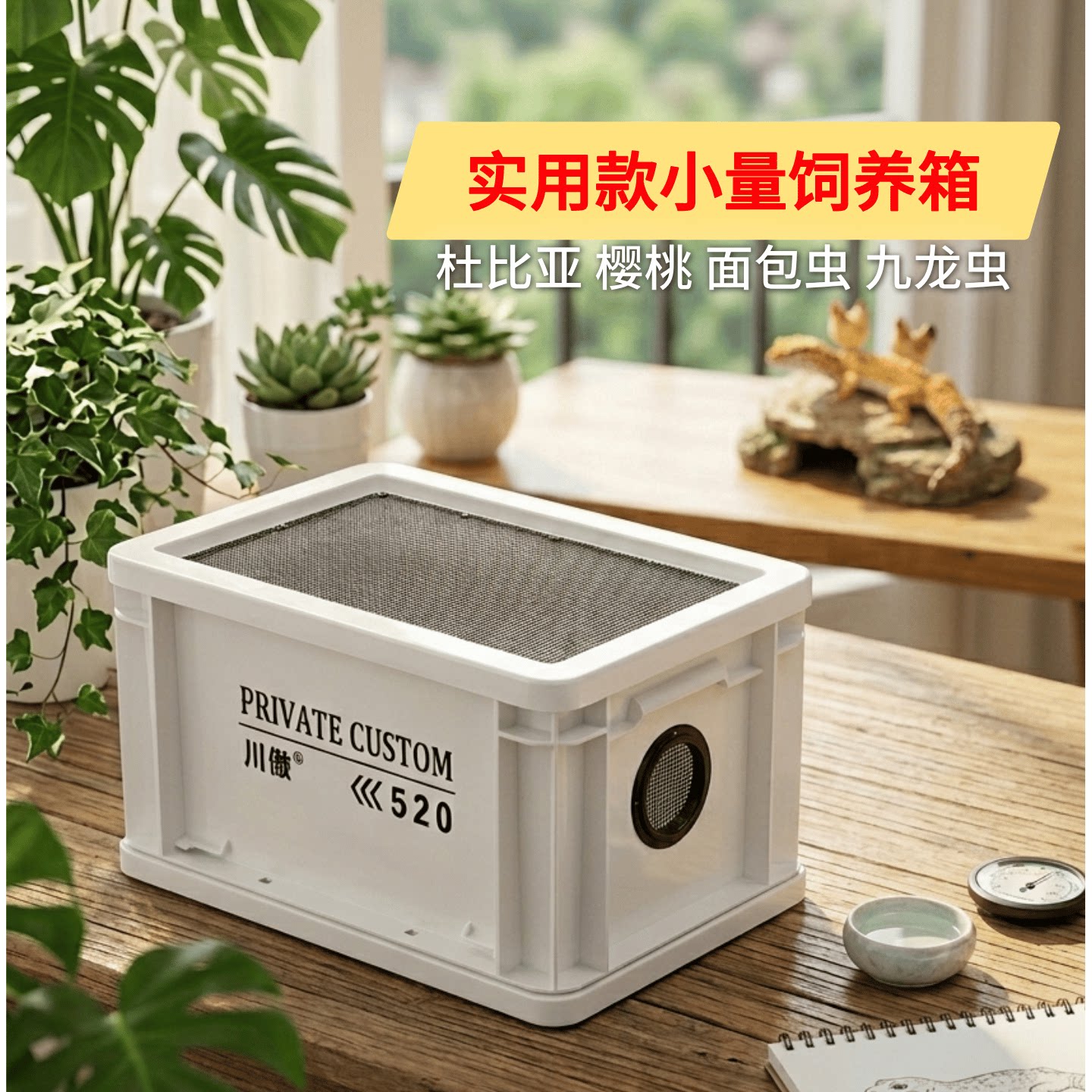 针头蟋蟀蟑螂幼虫饲养箱小量饲养盒川傲实用款高性价比面包虫通用图片