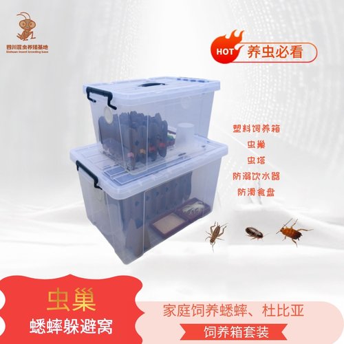 蟋蟀巢蟋蟀饲养箱躲避窝巢
