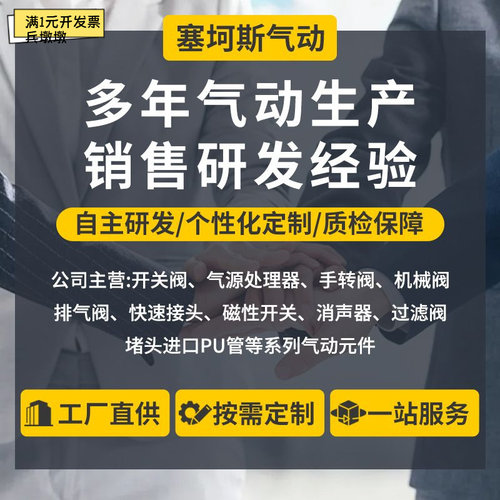 BSLM全铜电磁阀消声器