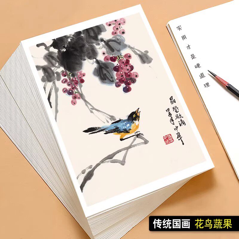 国画临摹卡传统国画花鸟蔬果画 绘画入门培训高清印刷32张大师画