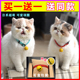 宠物项圈小型狗狗猫咪项圈铃铛泰迪兔子哆啦a梦可爱饰品宠物用品
