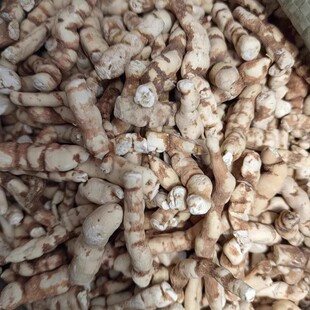 倪海厦十枣汤原材料 十枣汤粉中药材 红大戟芫花中药材免费磨粉