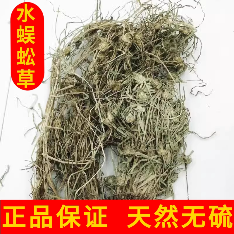 水蜈蚣草中药材正品寒气草 散寒草 三荚草 金纽草 三箭草 三星草