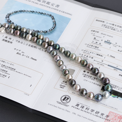 真科研证书漂浮在南太平洋的珍珠岛屿混彩9-11mm大溪地炫彩项链