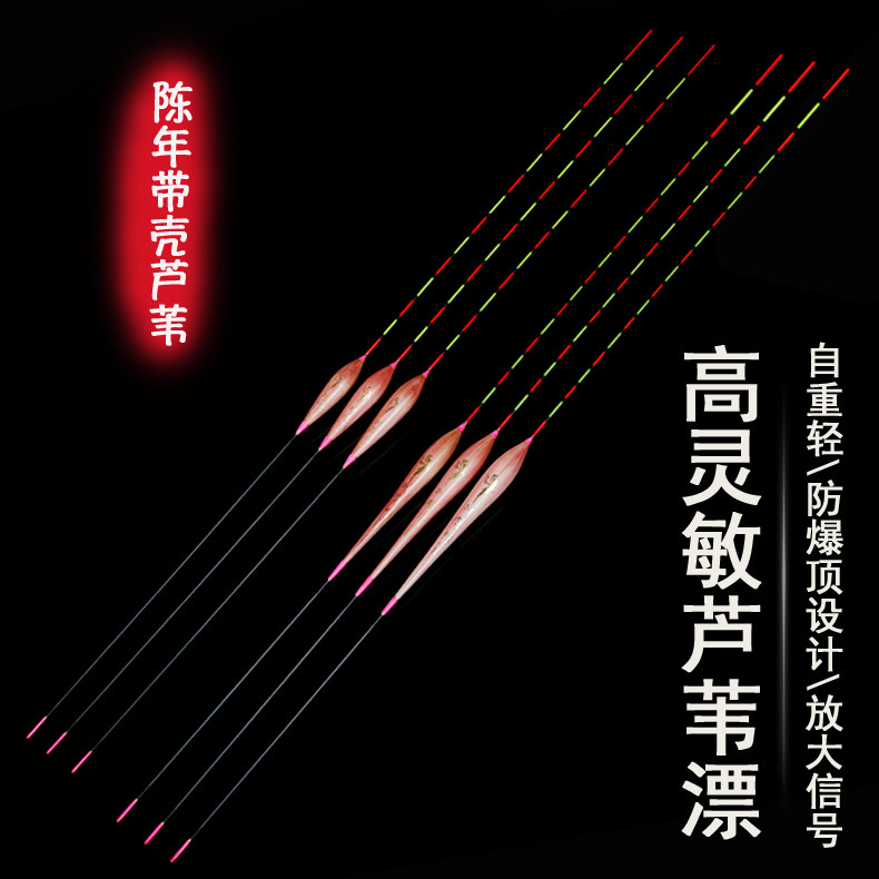 正品芦苇醒目高灵敏轻口鲫鲤鱼漂