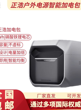 EcoFlow正浩 加电包 户外移动电源拓展加电包便携露营大功率电池