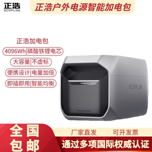 EcoFlow正浩 加电包 户外移动电源拓展加电包便携露营大功率电池