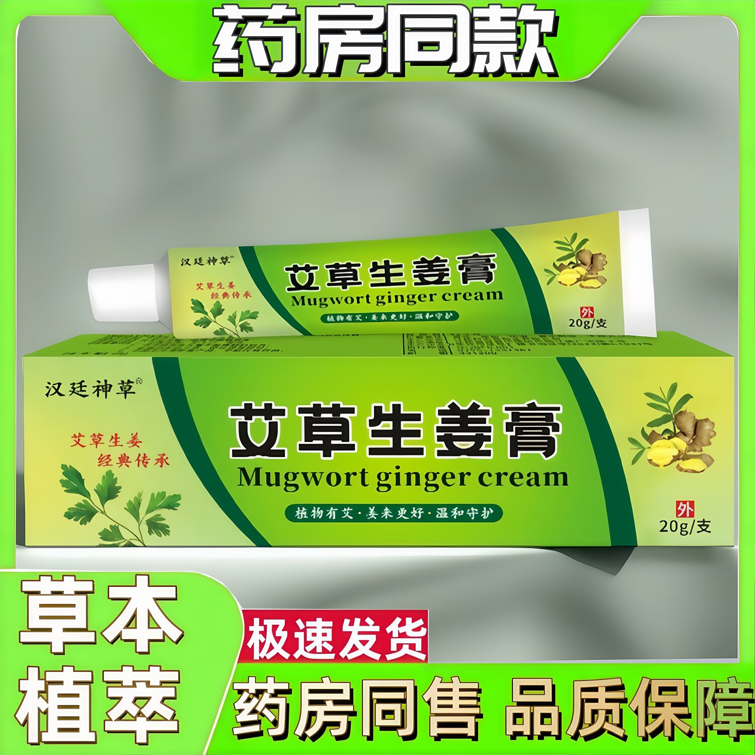 蚊虫叮咬成人时珍医传20g