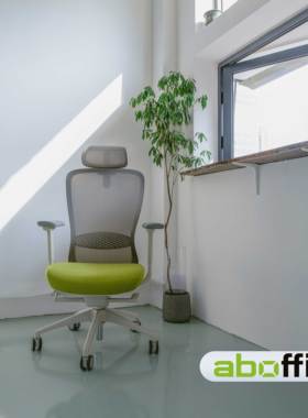 aboStudio人体工学椅 升降护腰办公电竞保健多功能