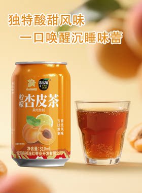 枣乐滋杏皮茶 甘肃特产酸甜回甘  夏日解暑神器 畅饮无负担