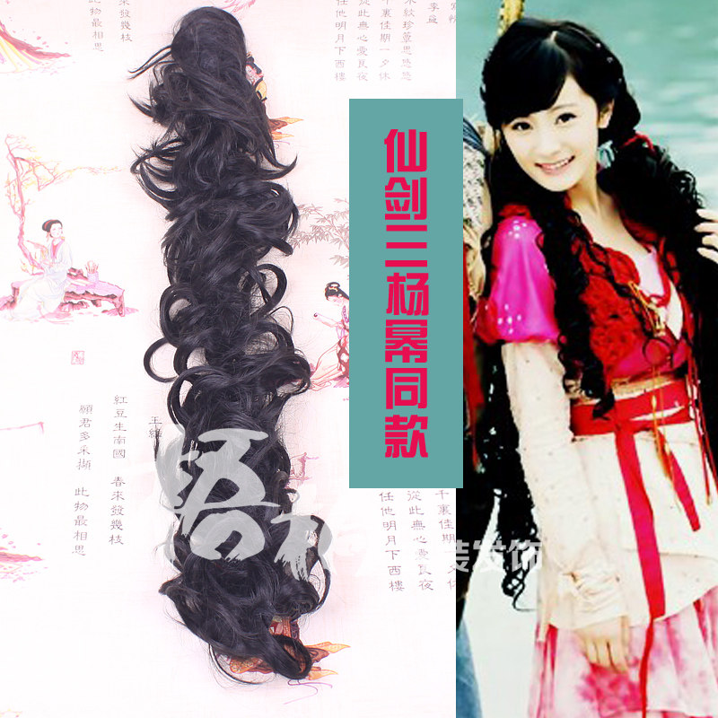 Extension cheveux - Chignon - Ref 242374 Image 1