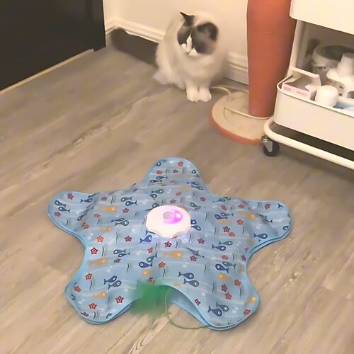 猫咪五角星电动捕捉罩逗猫玩具