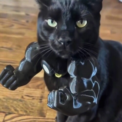猫咪肌肉手臂挂件3D打印挂脖装饰